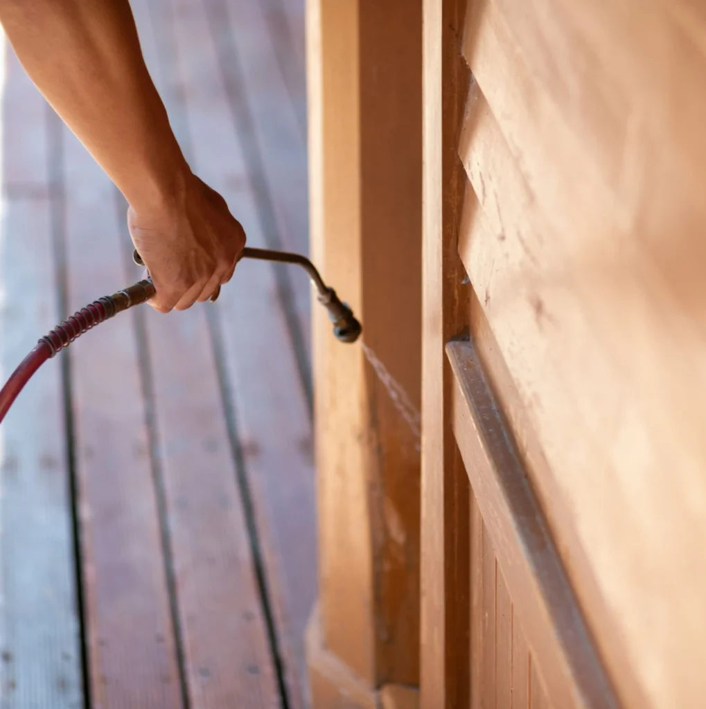 Trusted Pest Control - Elmont Pest Control Pros | Elmont, NY
